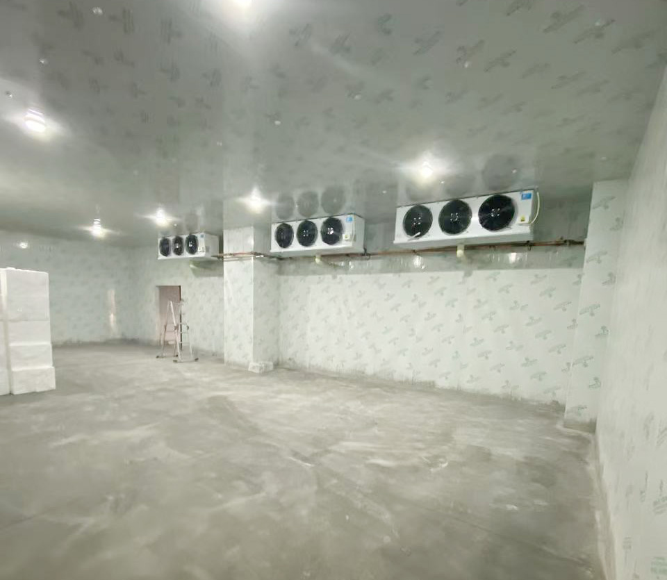 涼山普拉拉食品500立方-25度冰淇淋